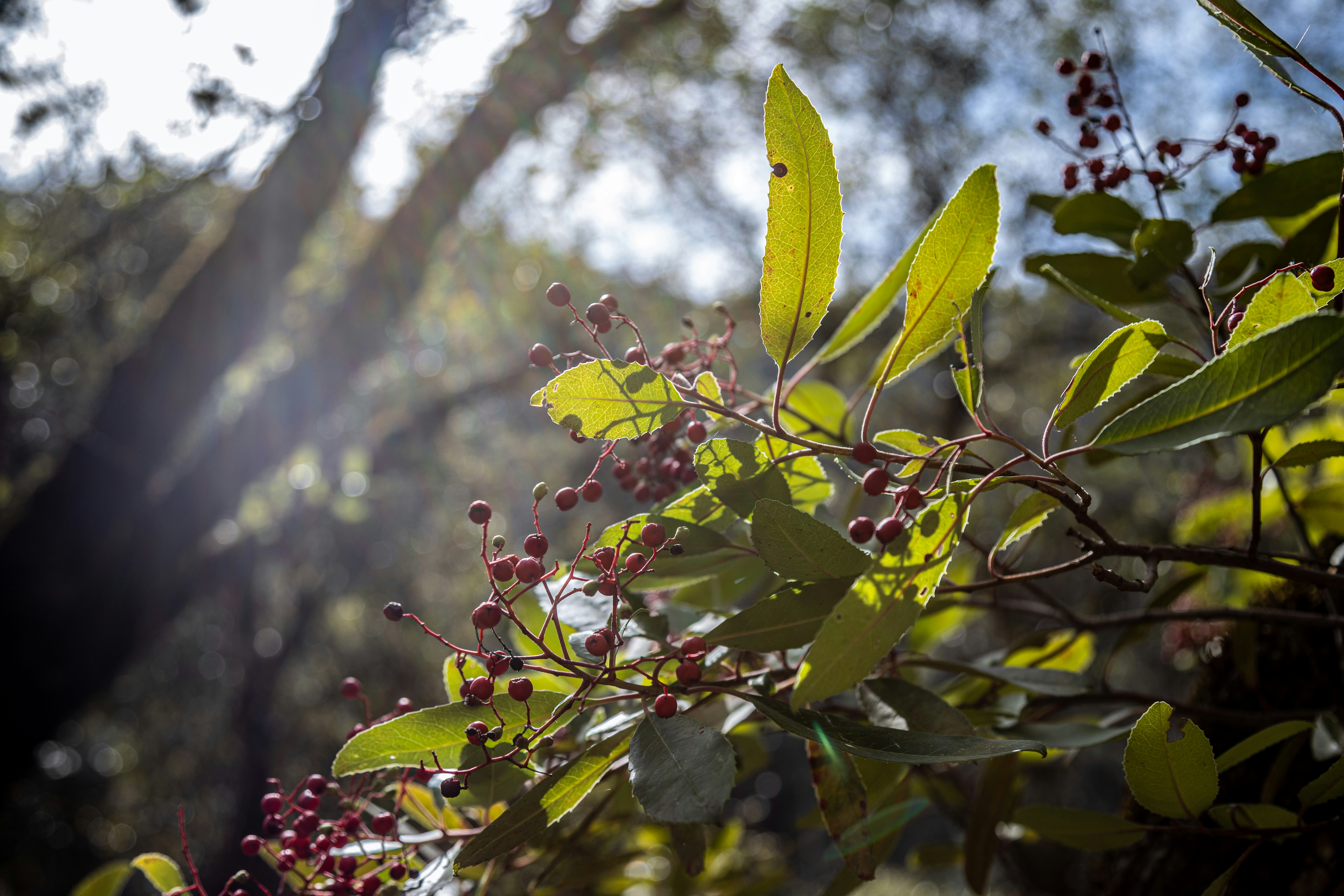 Photo by creepyhands