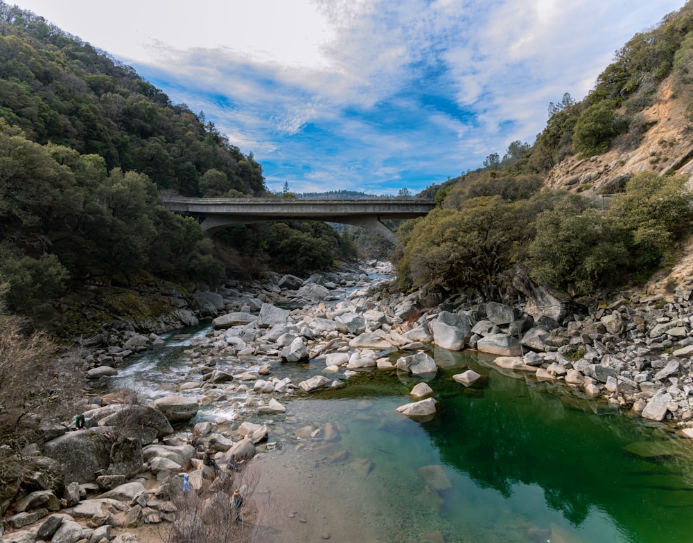 gray concrete bridge over river between green trees under blue sky during daytime