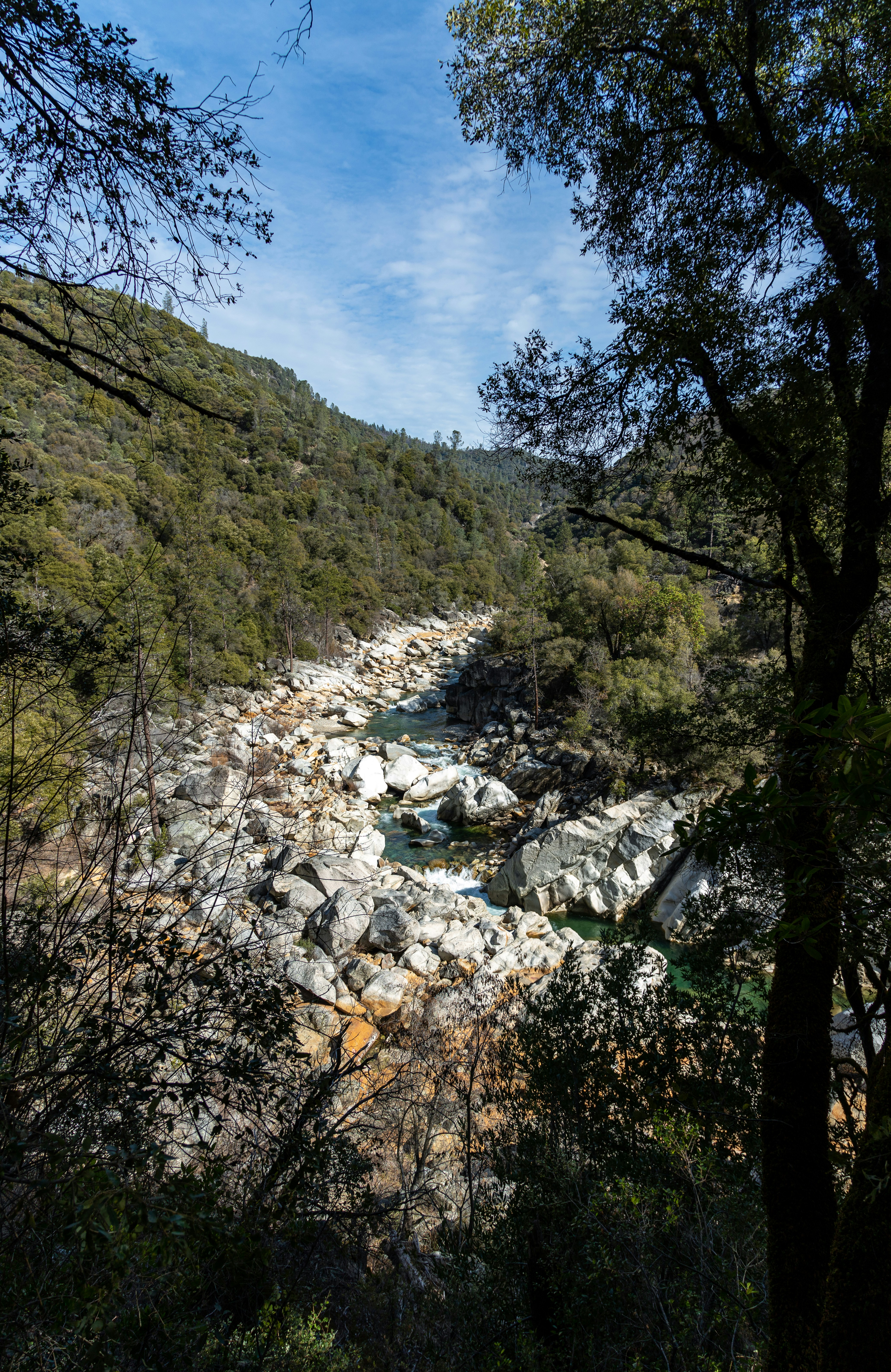 Photo by creepyhands