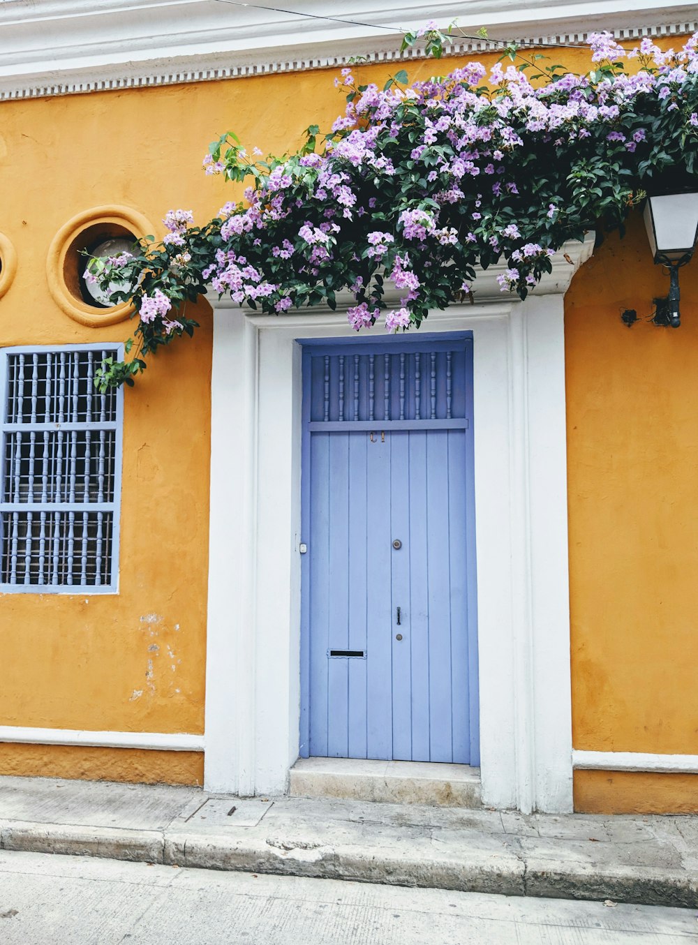 purple flower on yellow painted wall