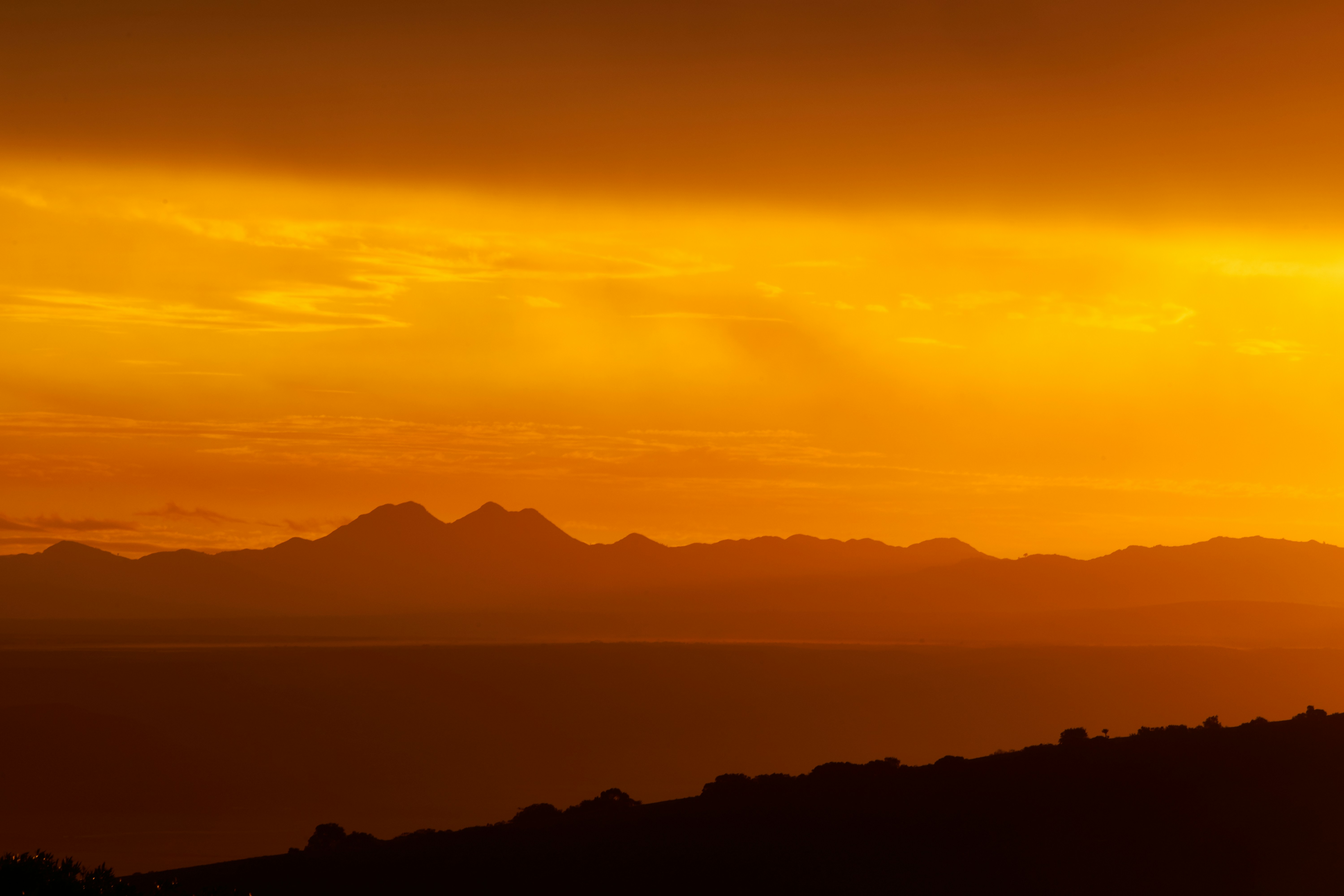 Photo by wolfgang_hasselmann