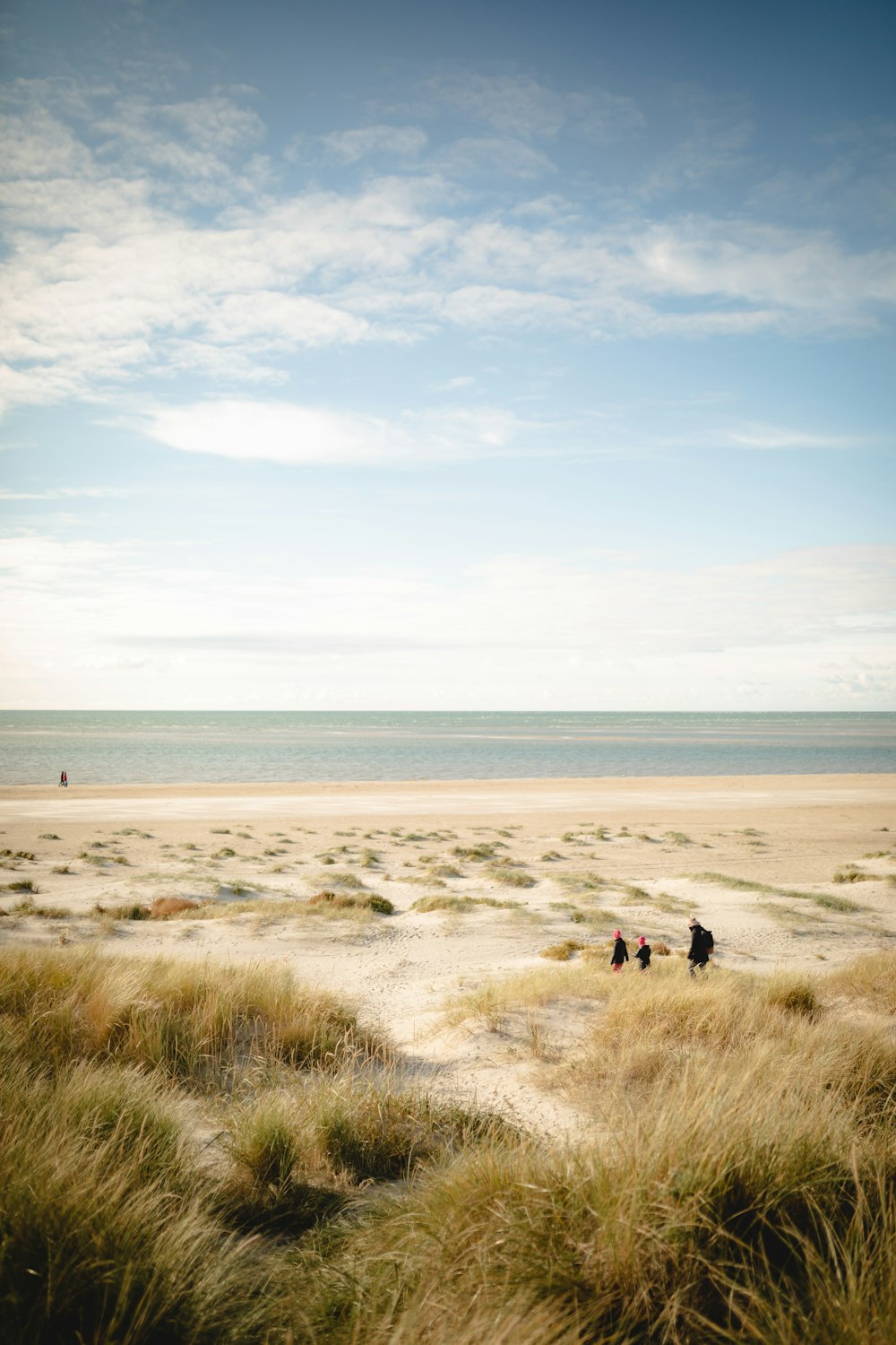 people walking on beach during daytime