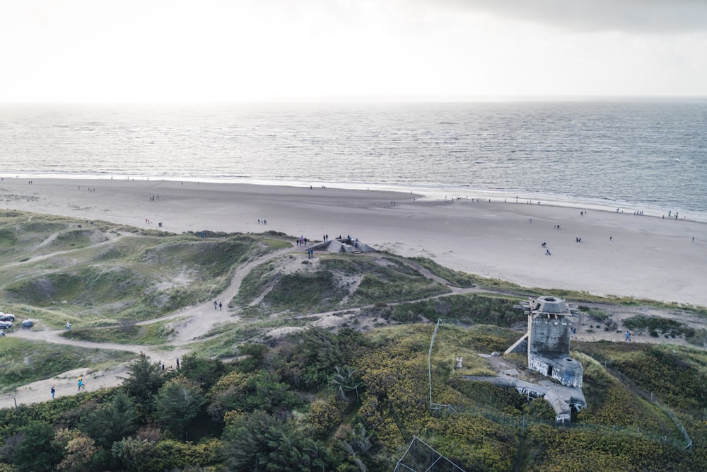 aerial view of green trees and sea during daytime