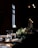 A dimly lit dining table is elegantly arranged with a centerpiece of white and green flowers. The table is set with crystal clear glasses, folded napkins, and ornate silver candle holders, creating a sophisticated and intimate atmosphere.