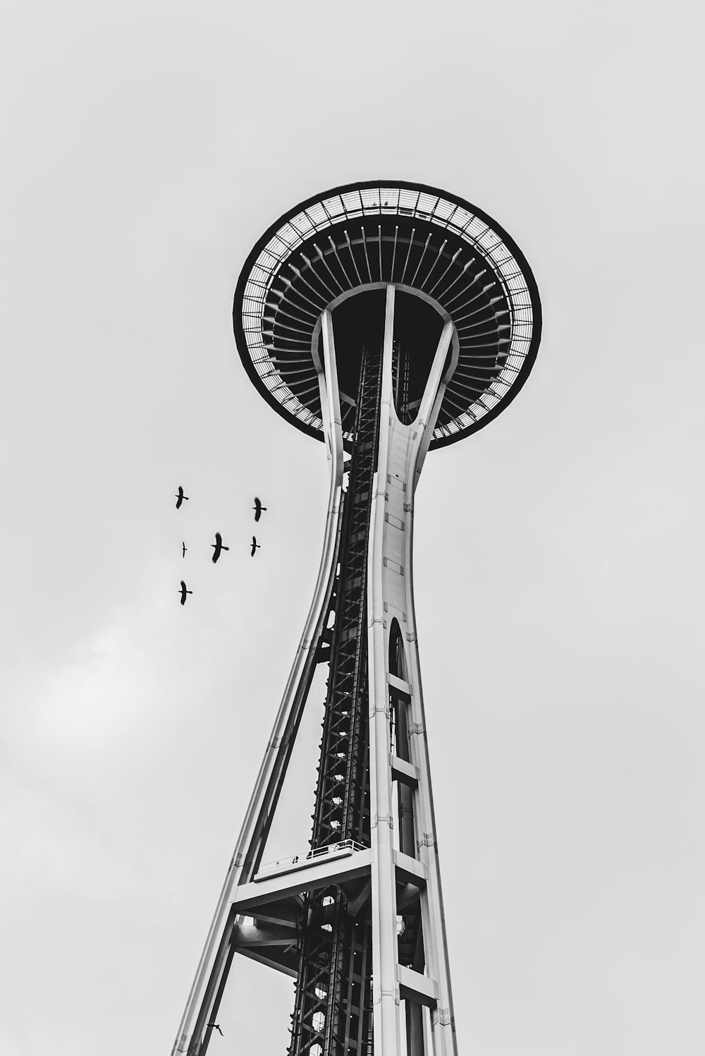 grayscale photo of bird flying over the tower