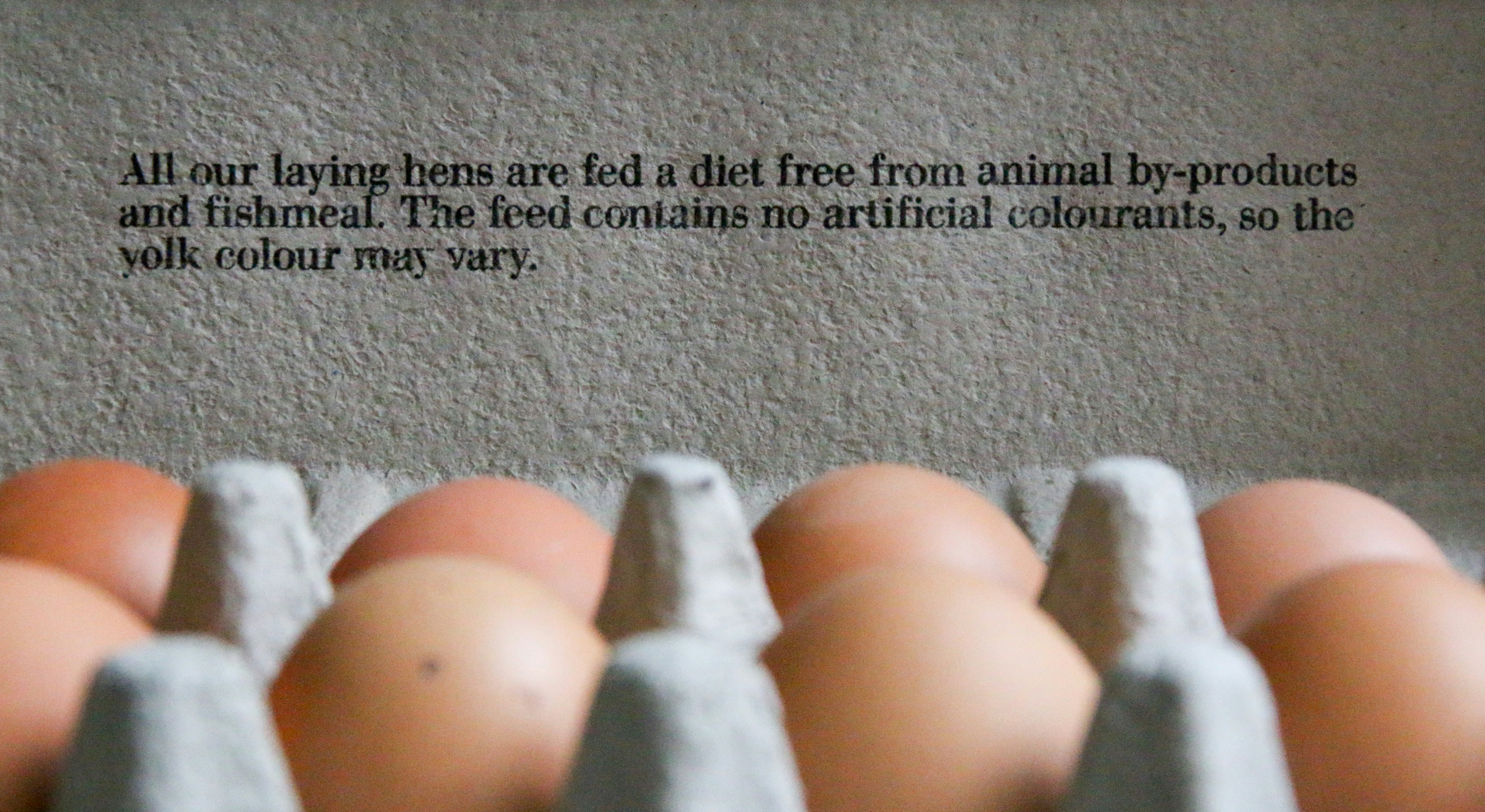 Most Hilarious Letterkenny Quotes That Hit Different