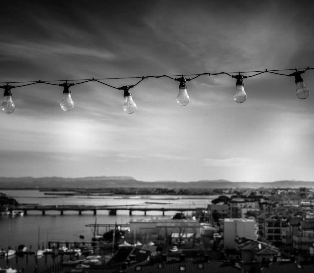 grayscale photo of hanging light bulbs