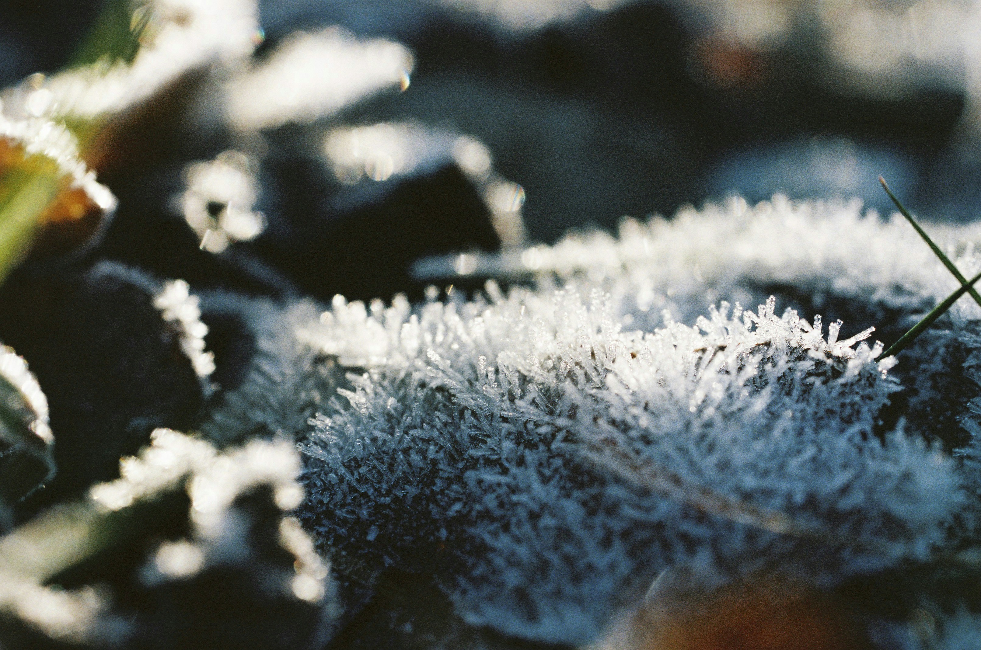 Photo by markusspiske