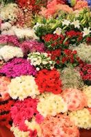 A vibrant assortment of flowers including roses, lilies, and various daisies displayed in a colorful array. The arrangement features rich reds, delicate whites, soft pinks, and deep greens, showcasing a diverse collection of blooms.
