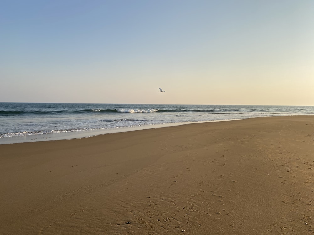 personne surfant sur les vagues de la mer pendant la journée