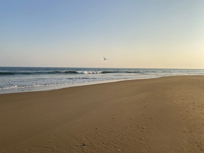 Top Tourist Places in Puri: What's Actually Worth Your Time