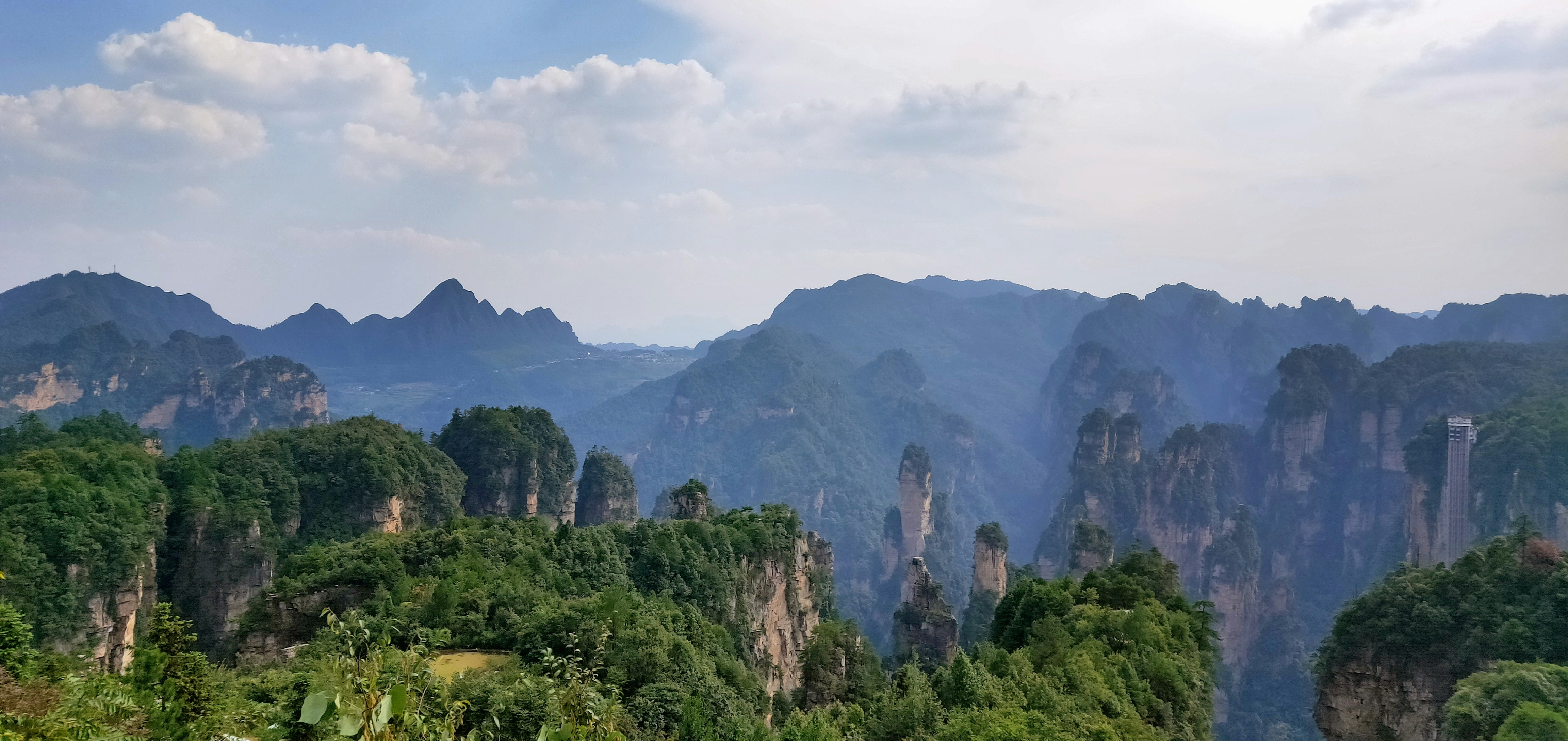 Photo by shark_chili