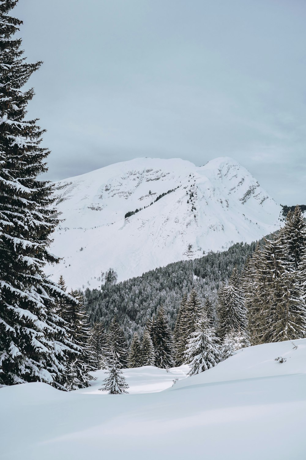 snow covered mountain during daytime