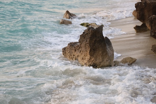 brown rock formation on sea shore during daytime in Kish Iran