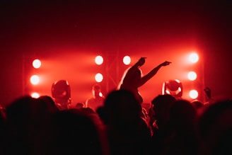 A vibrant concert scene with silhouetted figures in the foreground. Bright stage lights in red illuminate the space, creating a lively and energetic atmosphere. A person in the crowd is elevated, arms raised in enthusiasm, contributing to the feeling of excitement.