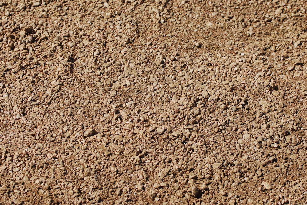 brown and black floor tiles