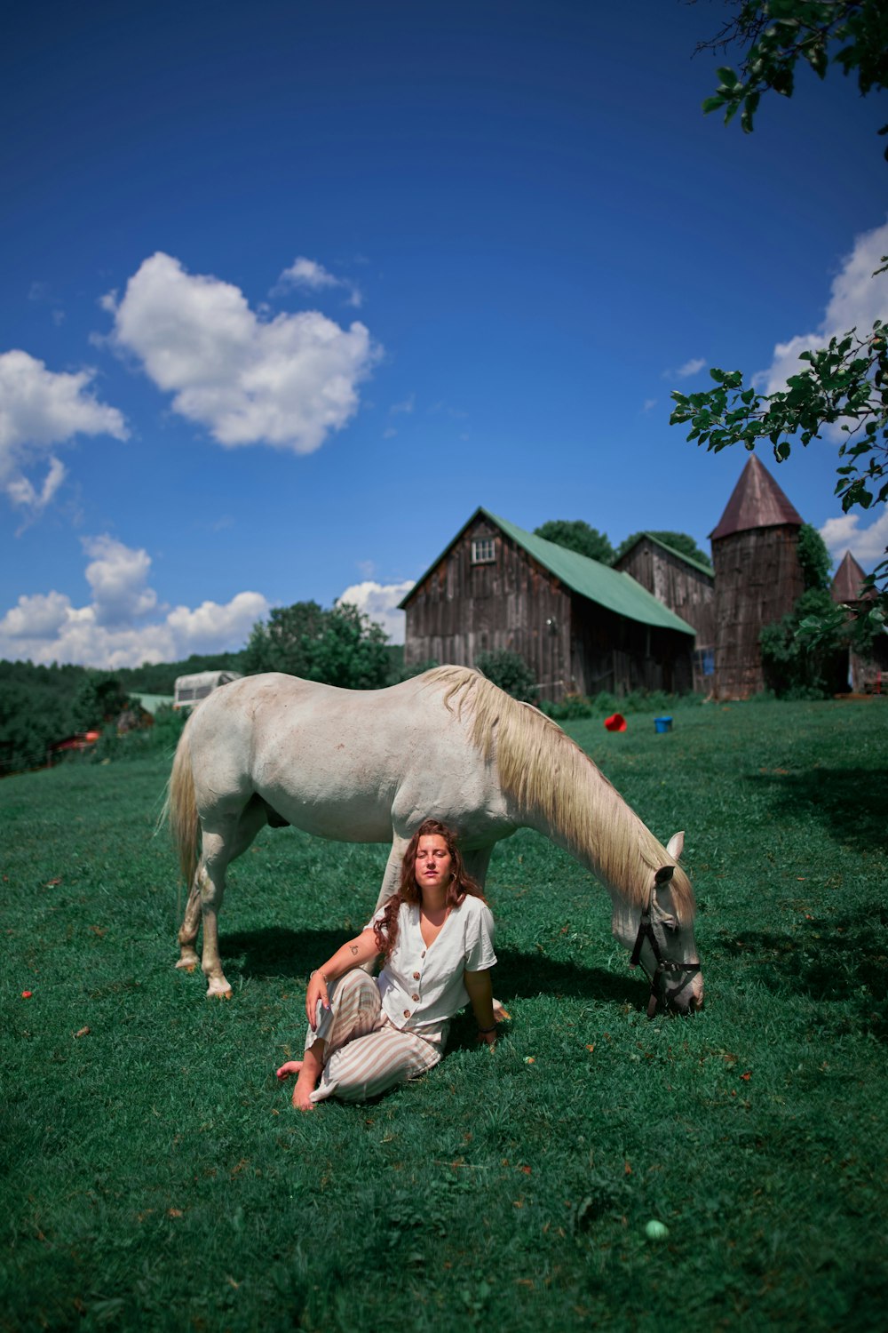 woman in white and brown stripe dress sitting on green grass field beside white horse during