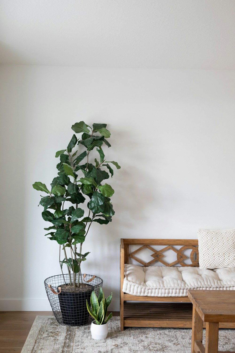 green plant on clear glass vase