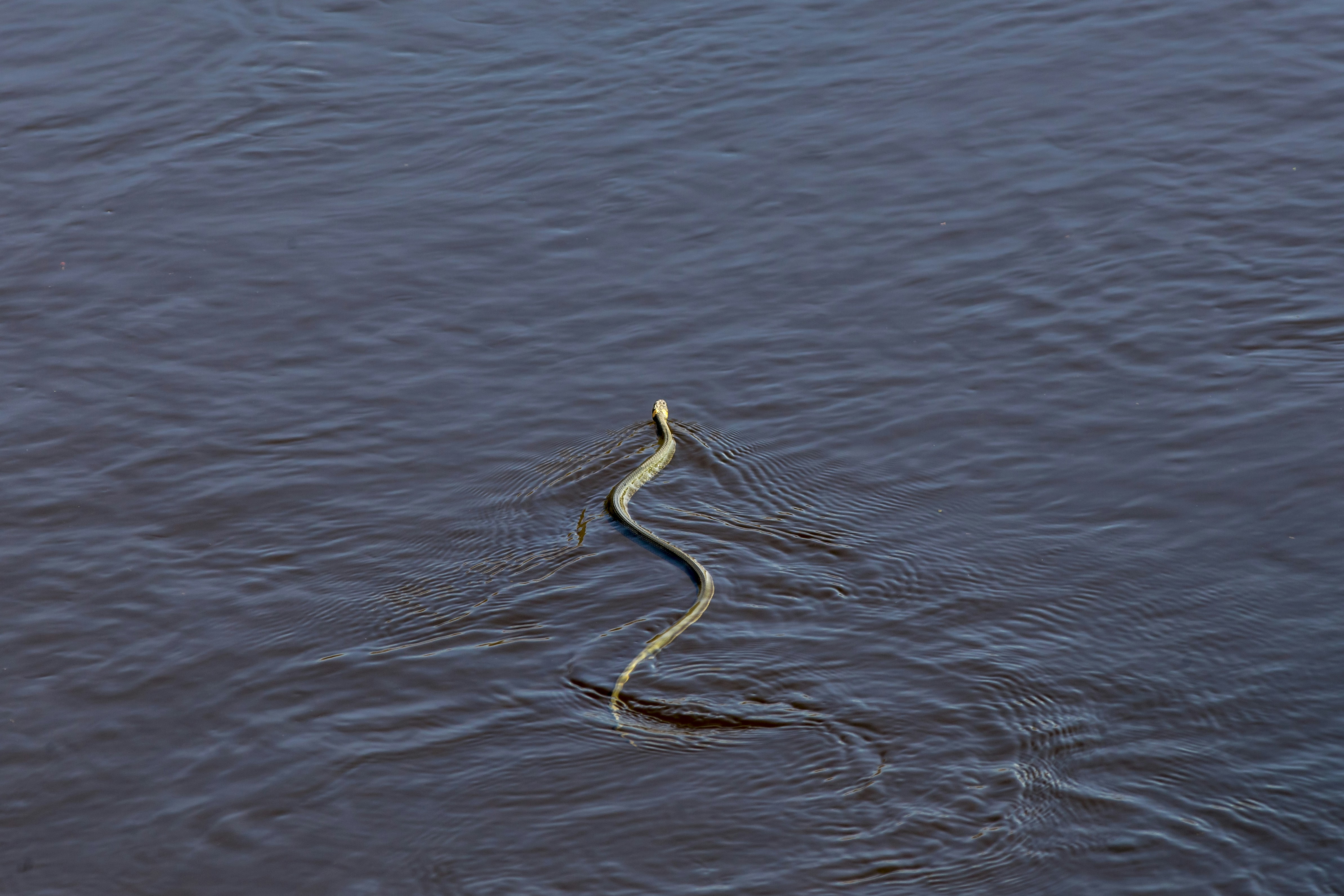 Photo by erik_karits