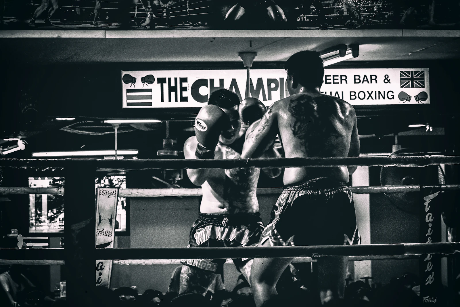 Fighters in a boxing ring