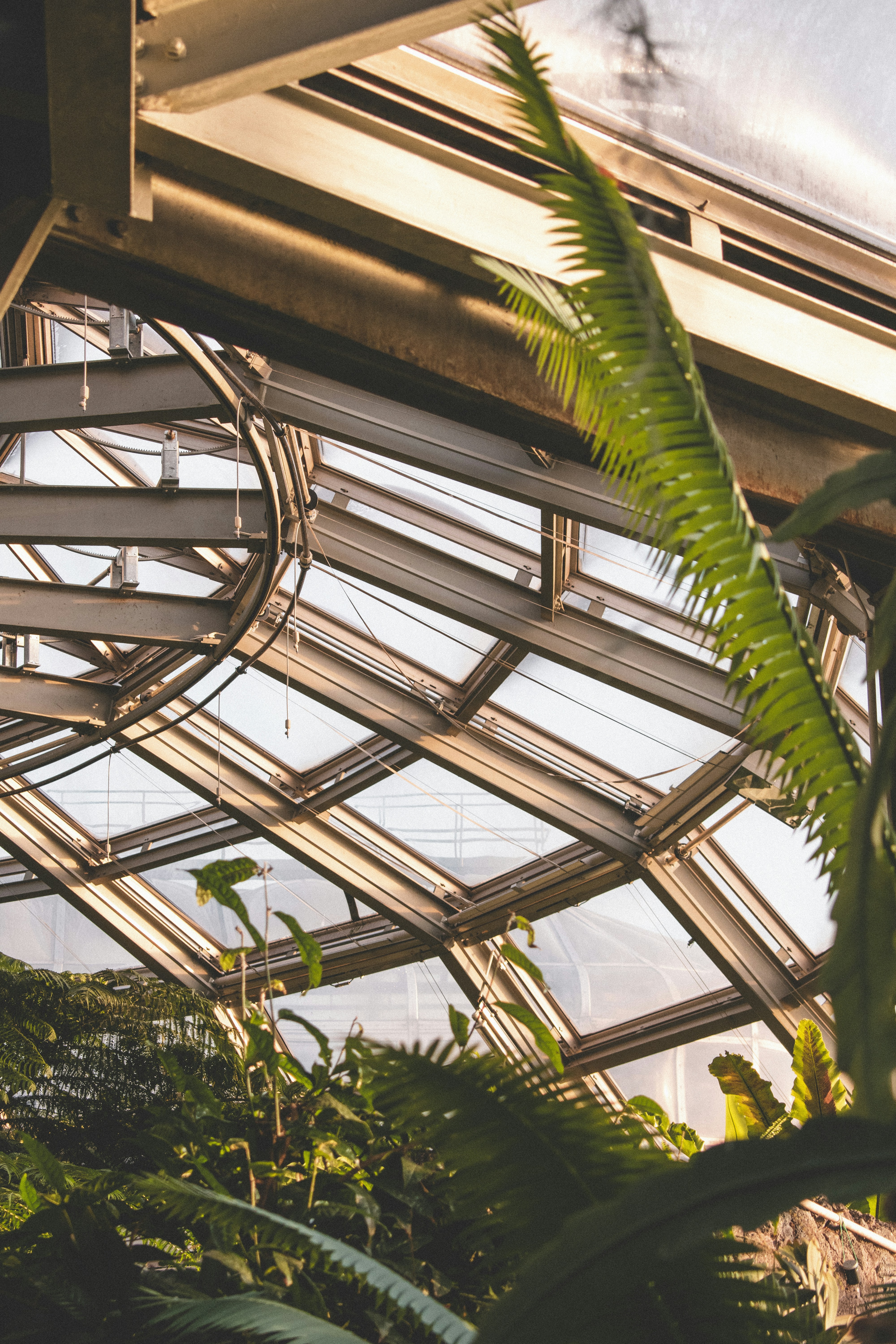 Photo by aurelienthms