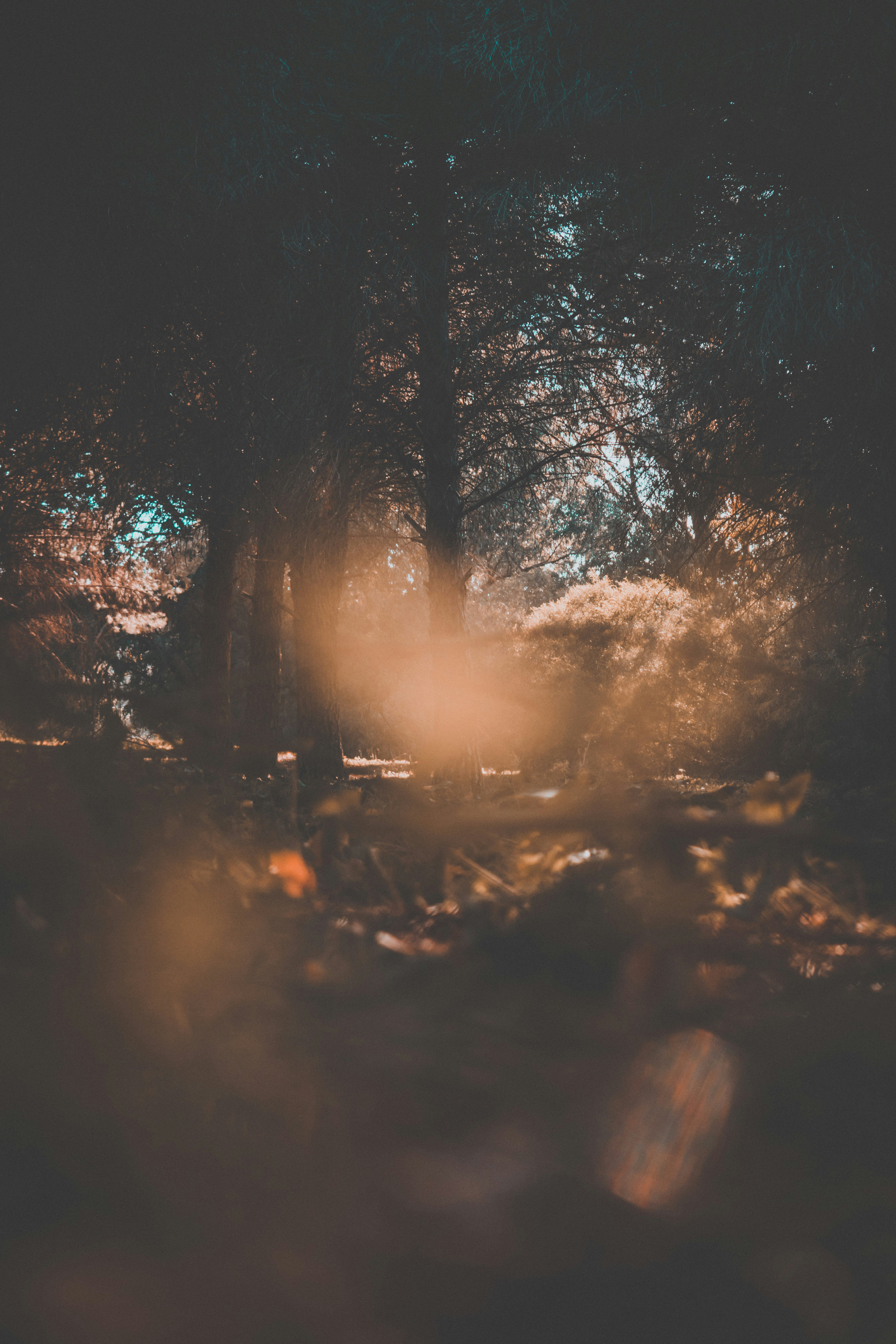 Photo by bilal_ayadi