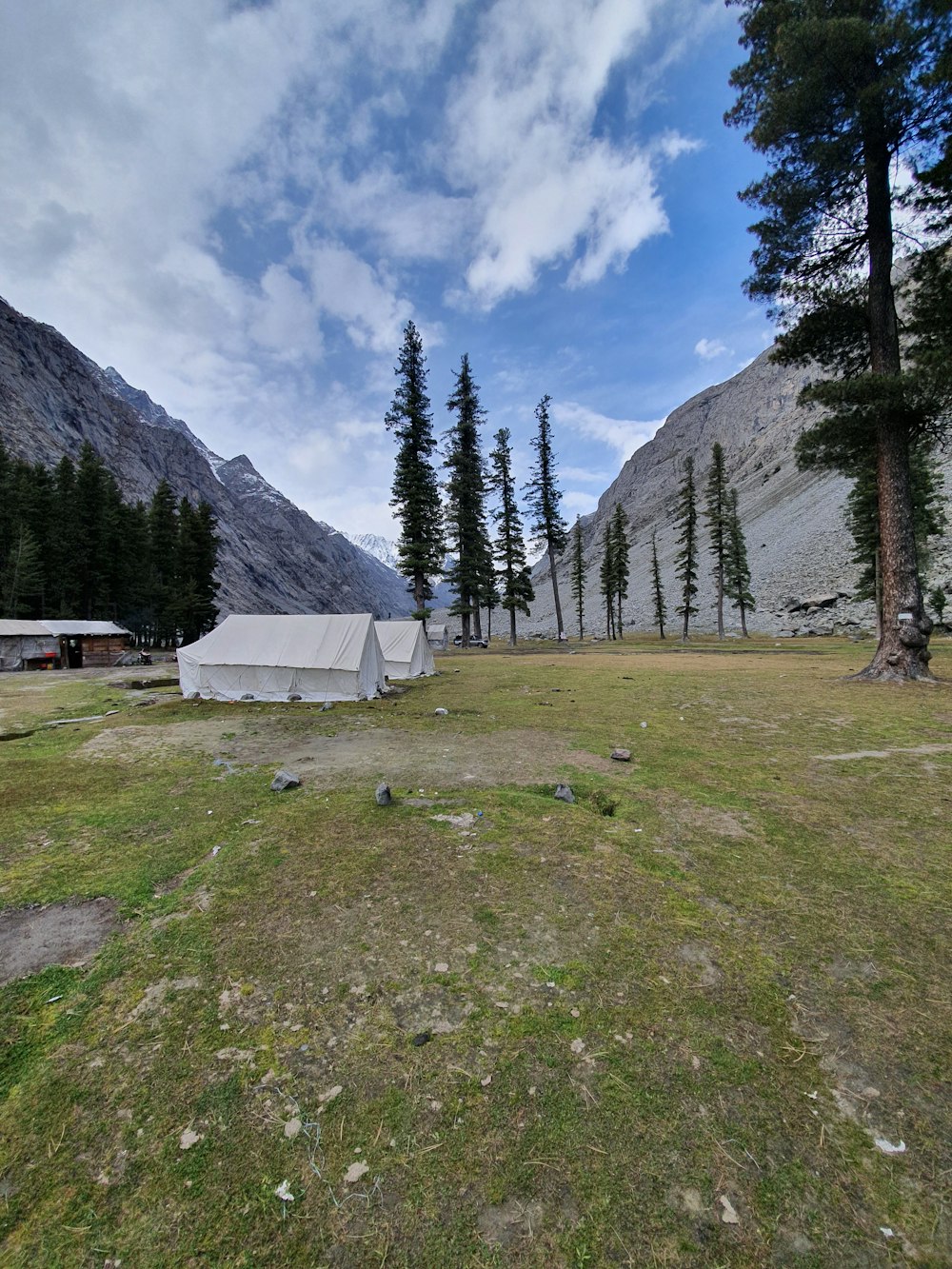 white tent on green grass field near green trees and mountain under blue sky during daytime