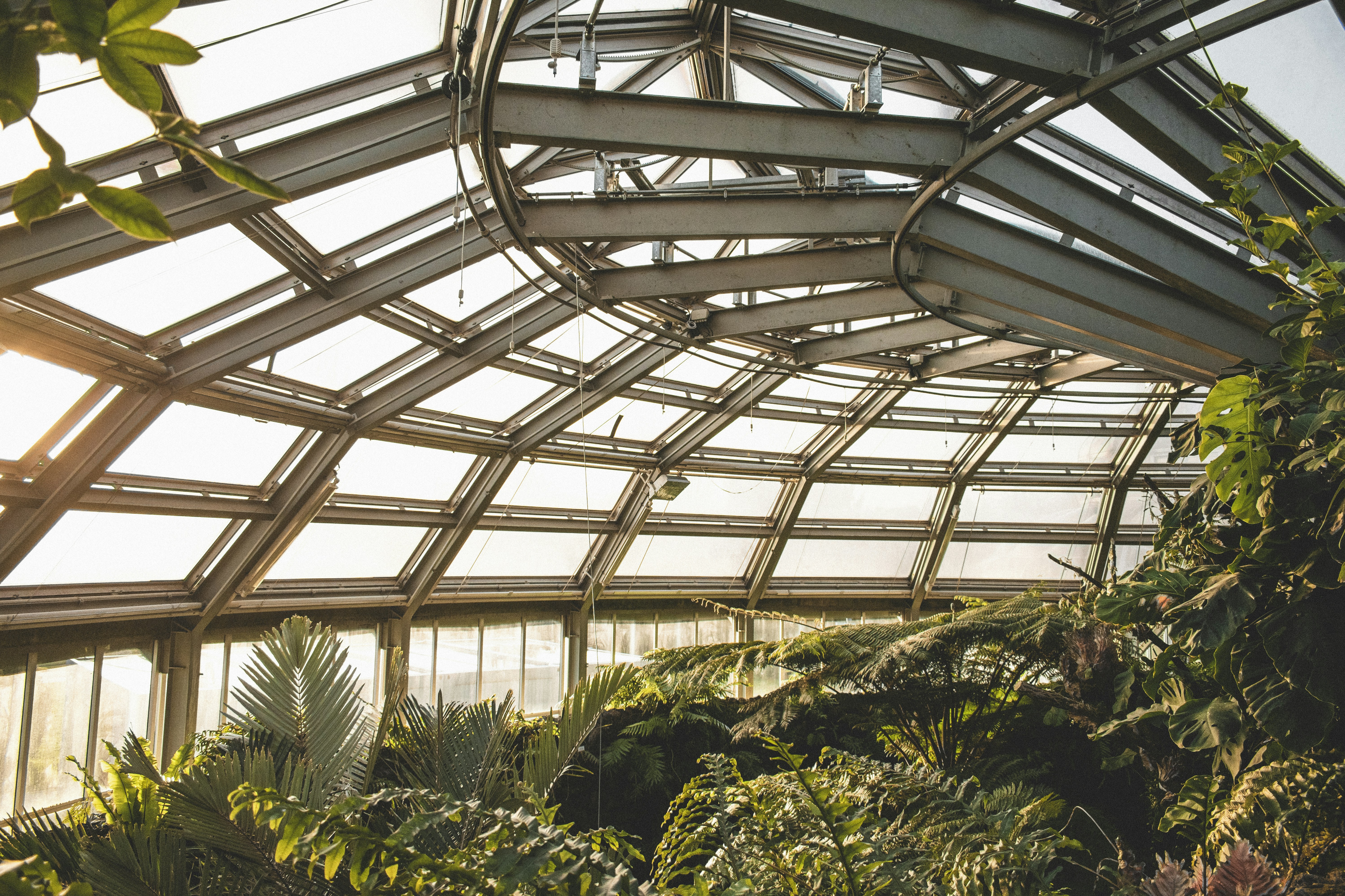 Photo by aurelienthms