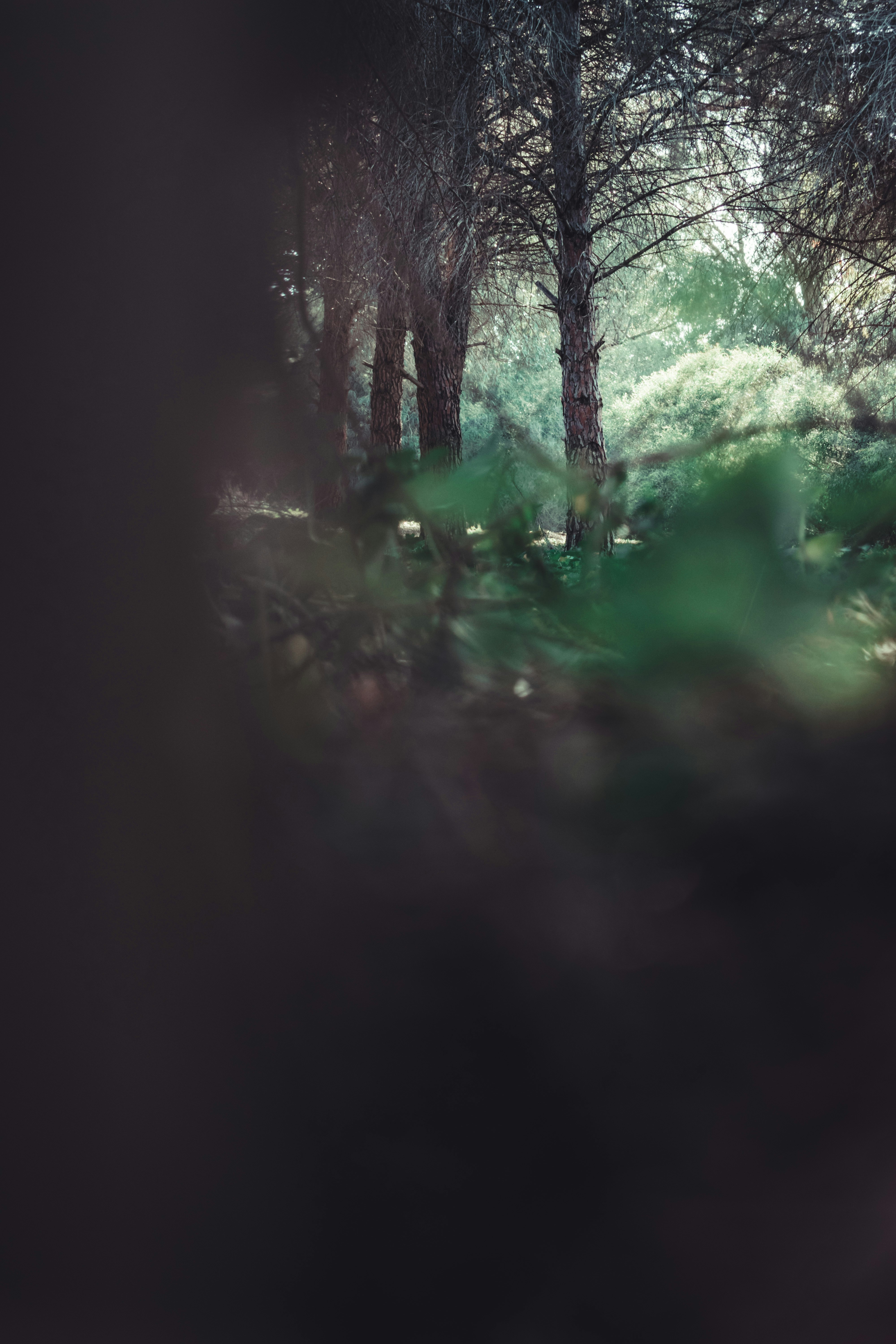 Photo by bilal_ayadi