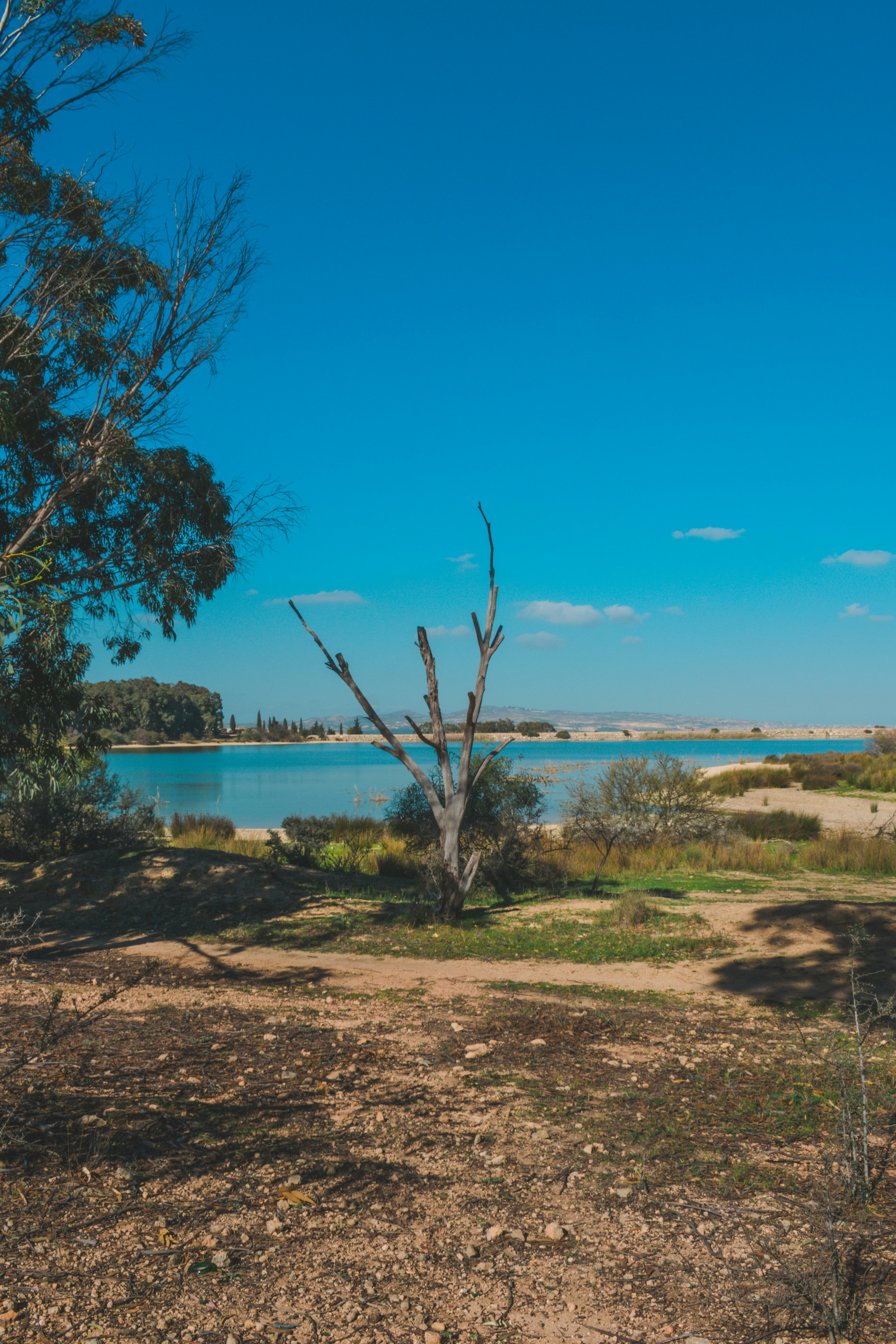 Photo by bilal_ayadi