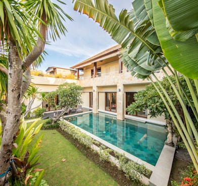 green palm tree near swimming pool during daytime