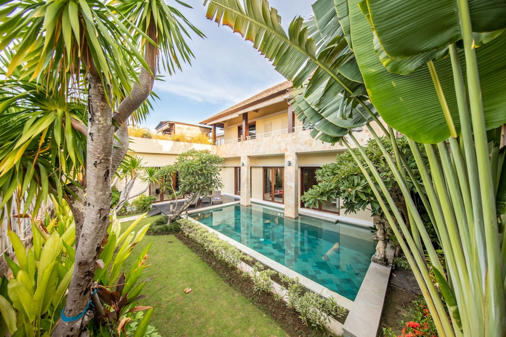 green palm tree near swimming pool during daytime