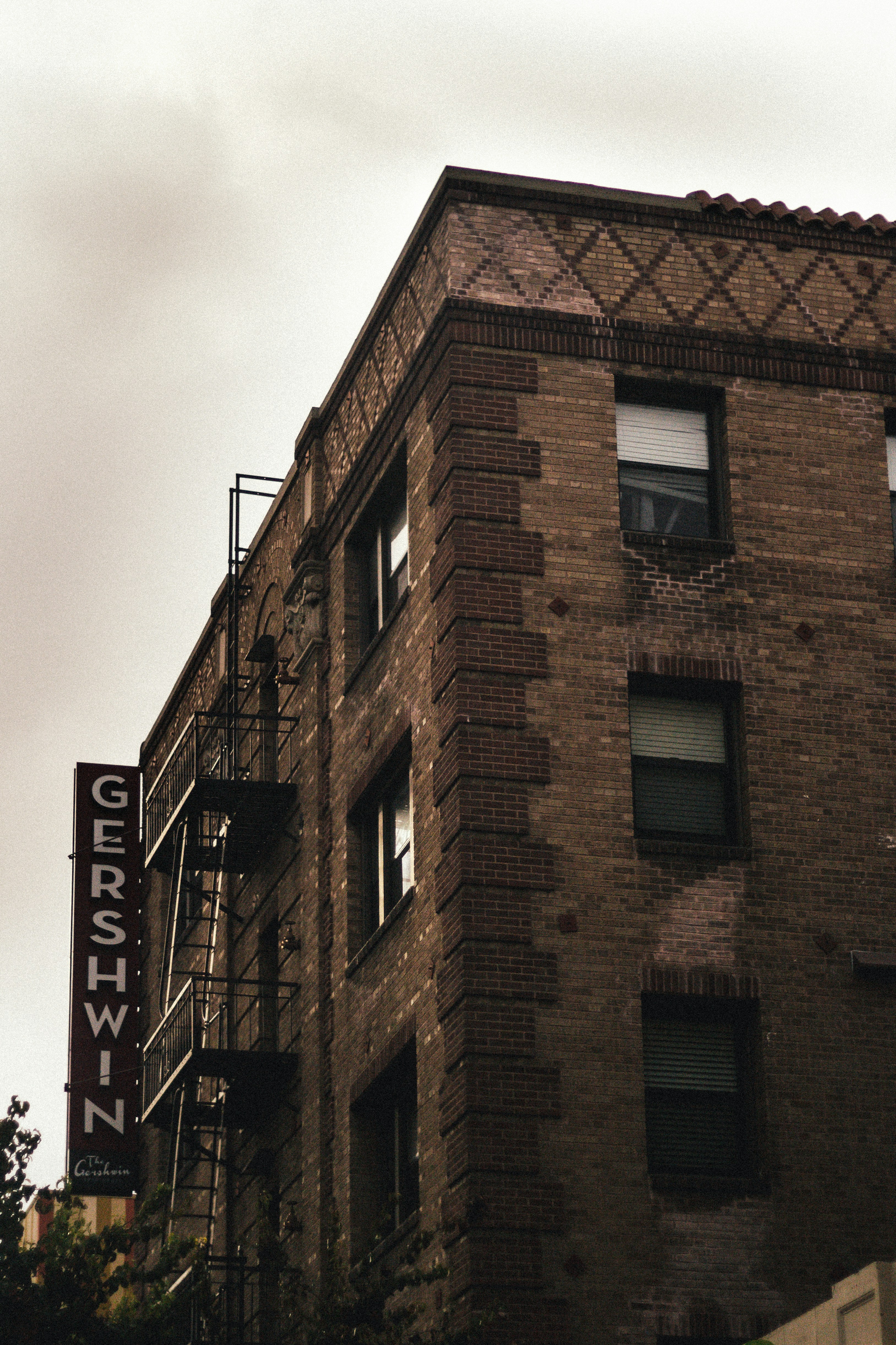 Photo by alex_gudino