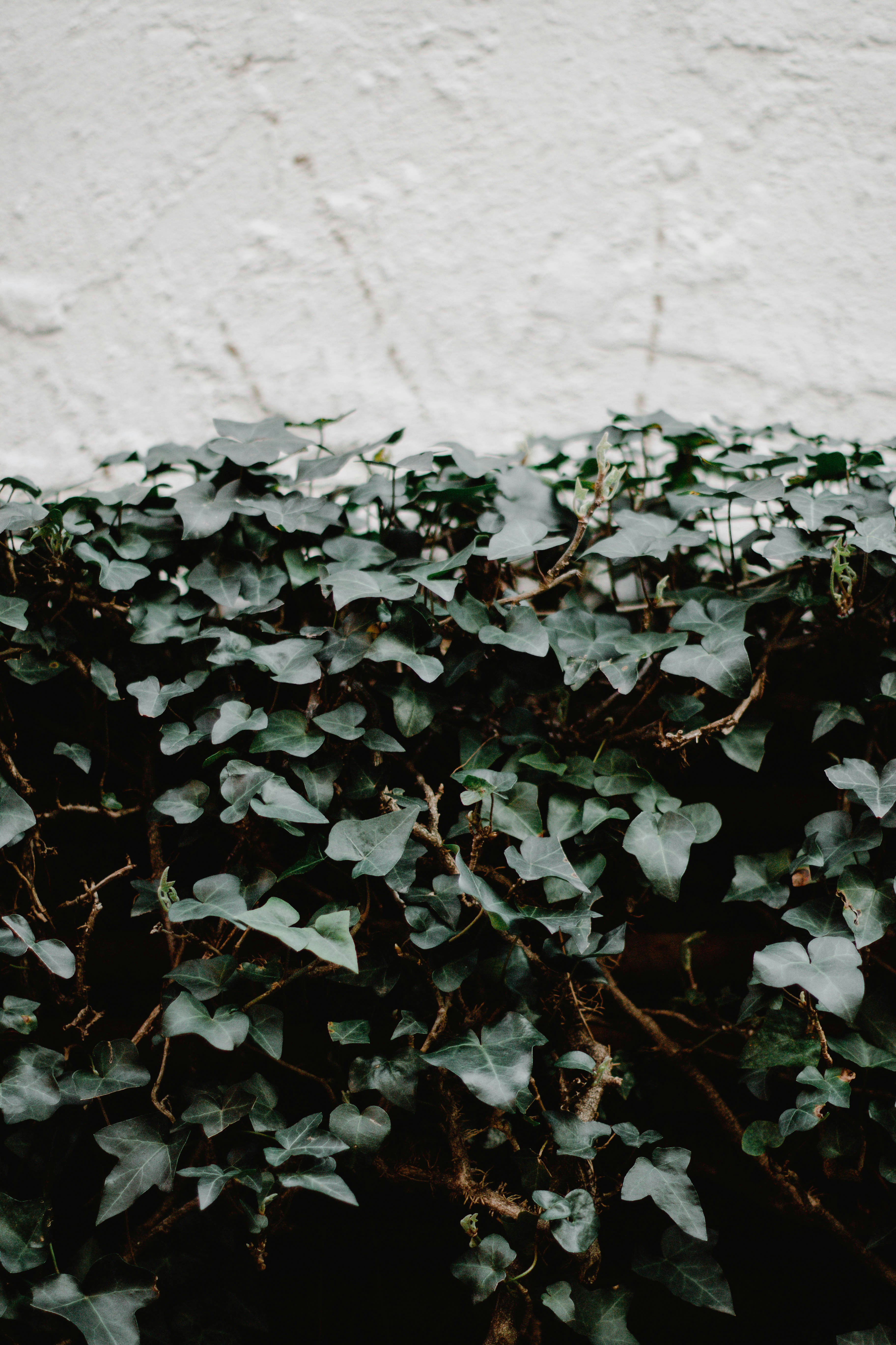 Photo by blueriverstudio