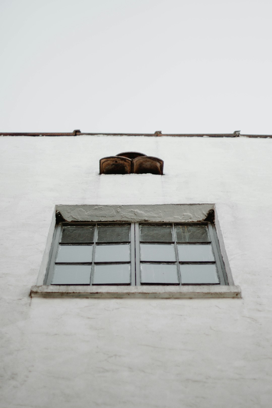 brown horse head on white concrete wall
