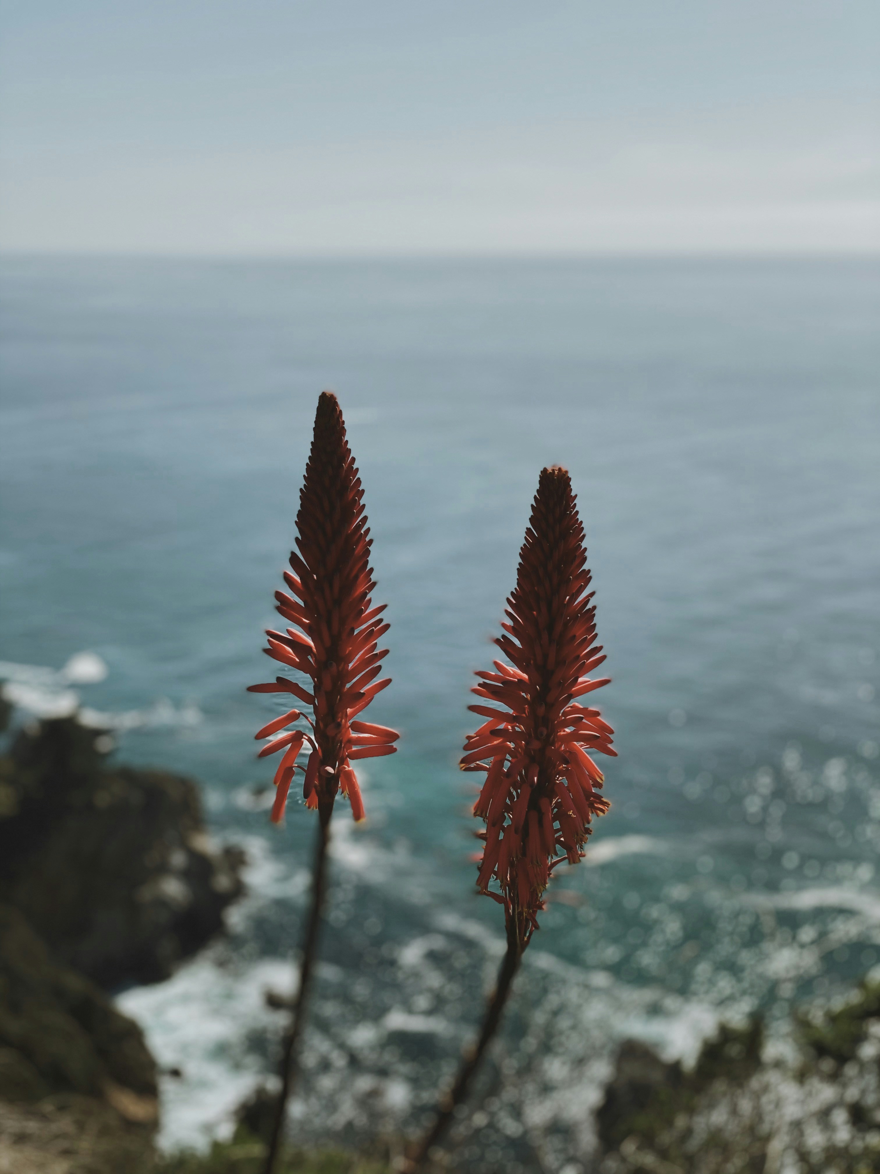 Photo by noahhphung