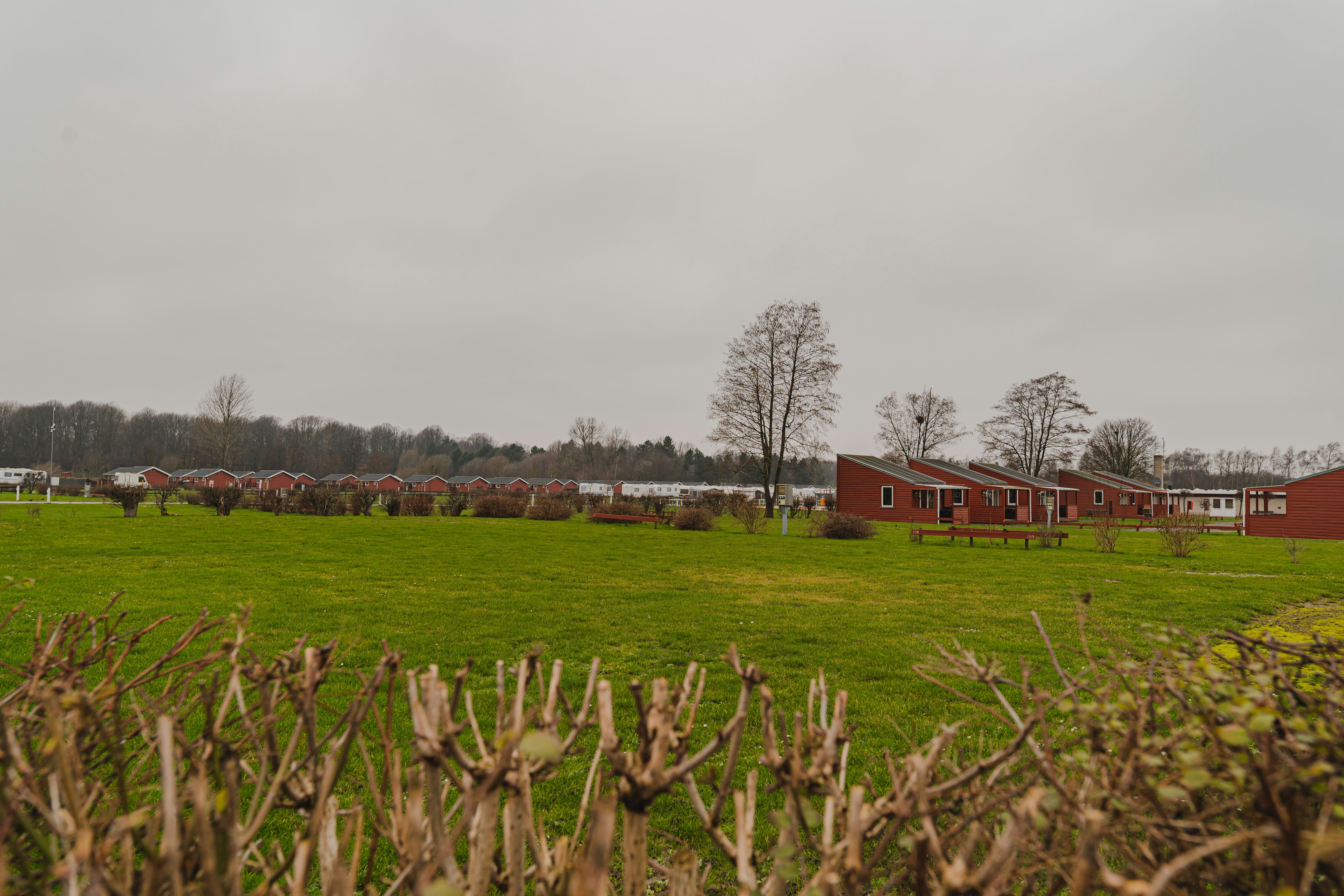 Photo by vanpanashoots