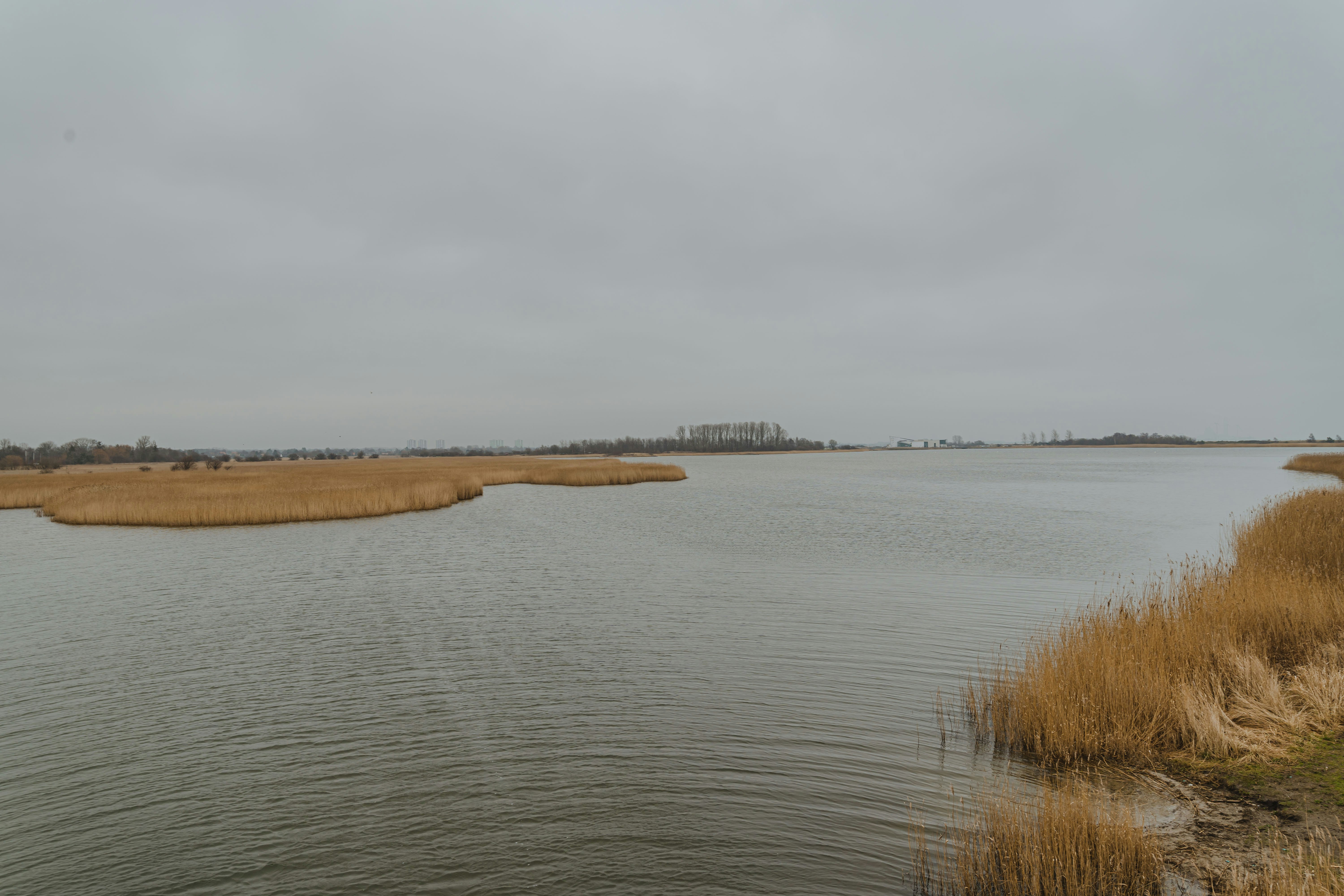 Dog Island State Wetlands