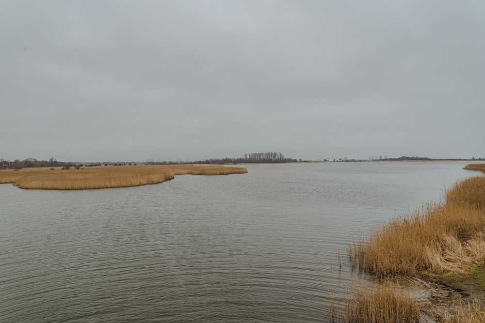 body of water under cloudy sky during daytime