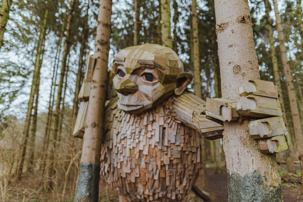 brown wooden human skull on brown tree trunk