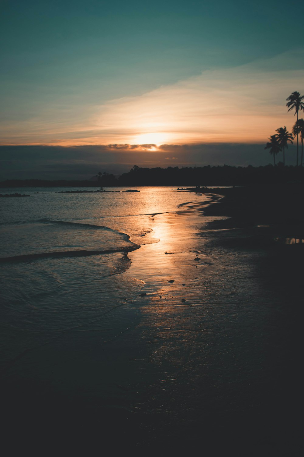 silhouette of trees near body of water during sunset