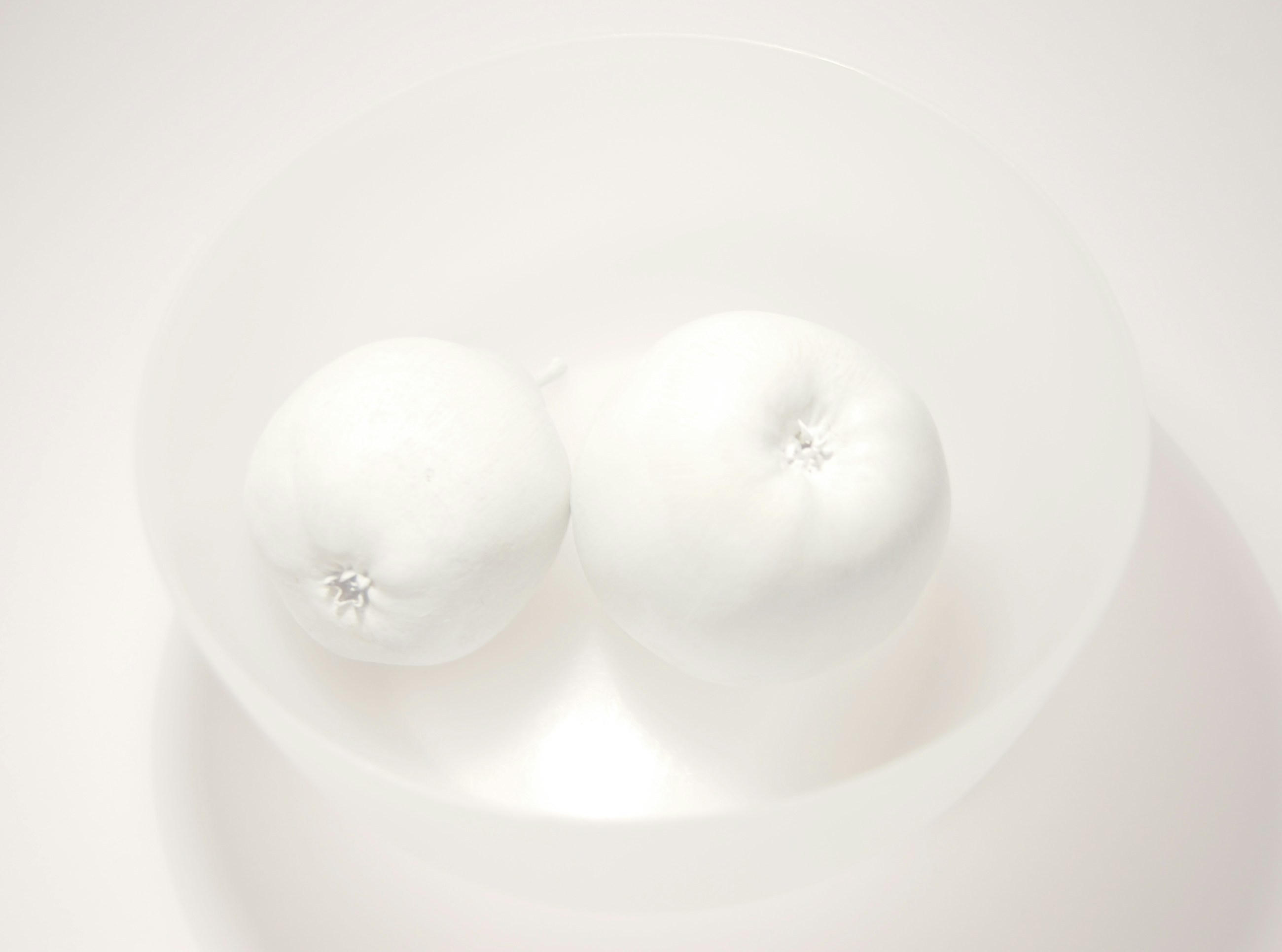 Photo by tatidesigner