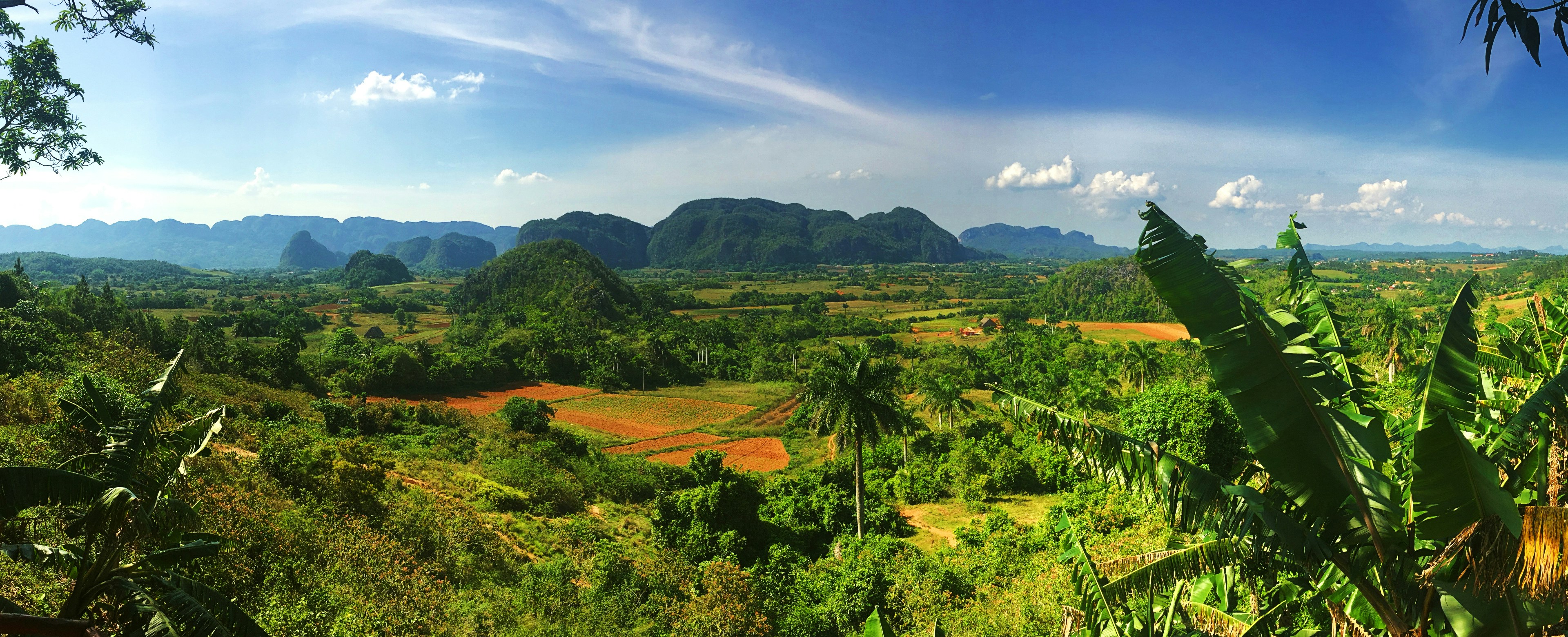 Photo by lilithvudu1