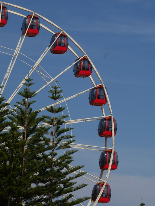 red and white cable car over green pine tree during daytime in Fremantle WA Australia