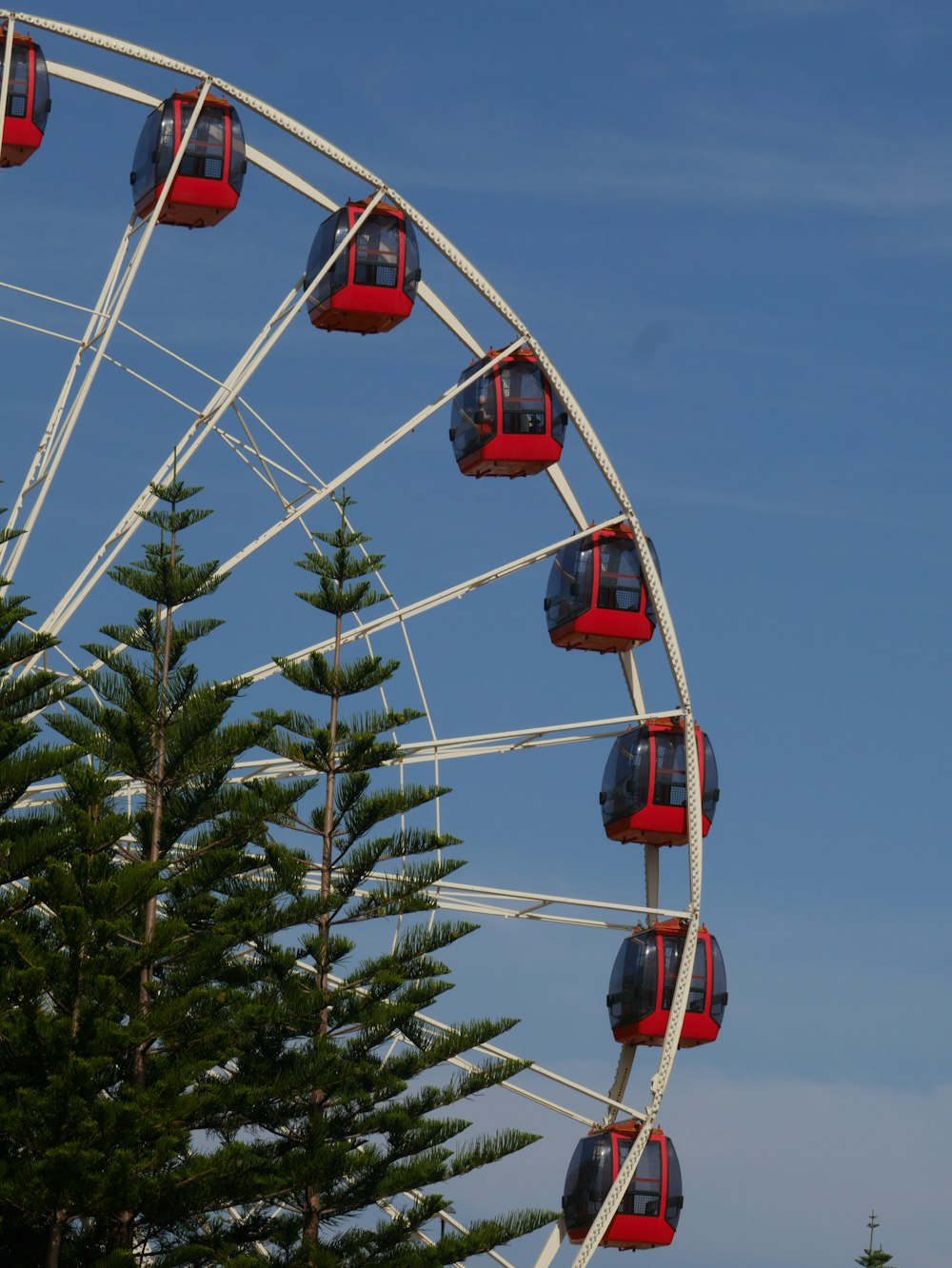red and white cable car over green pine tree during daytime