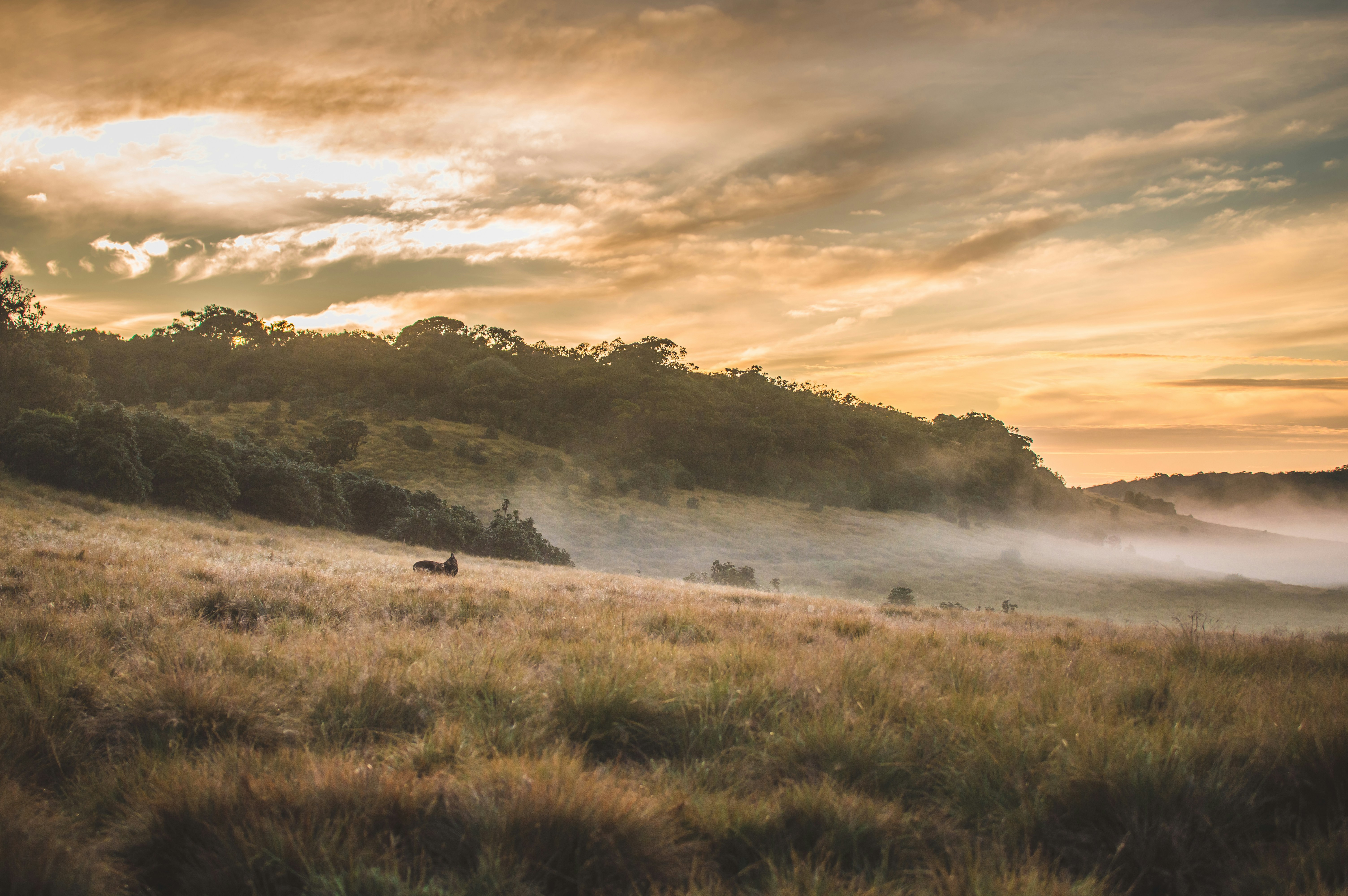 Photo by _abbashussain