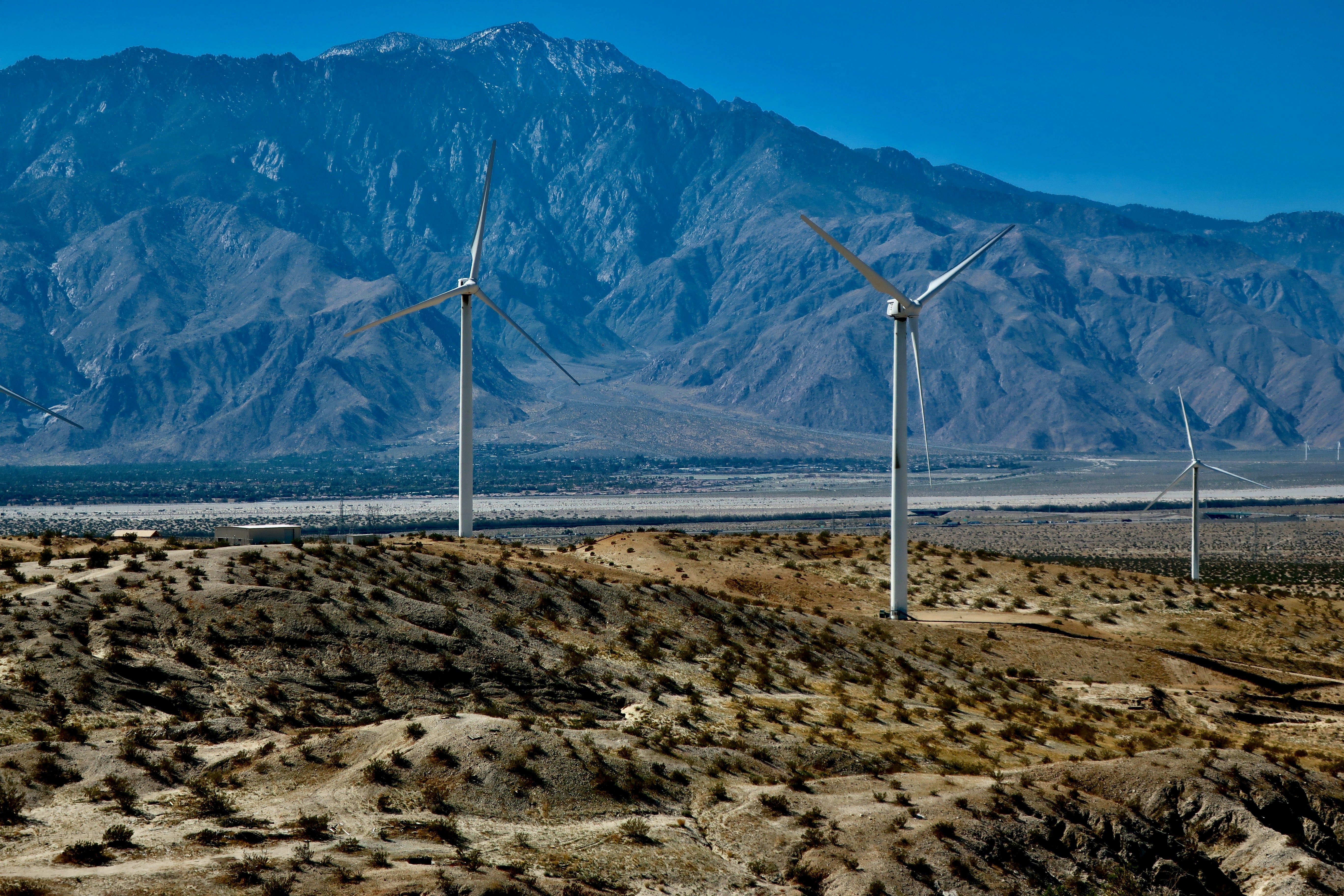 Photo by palmspringsdon