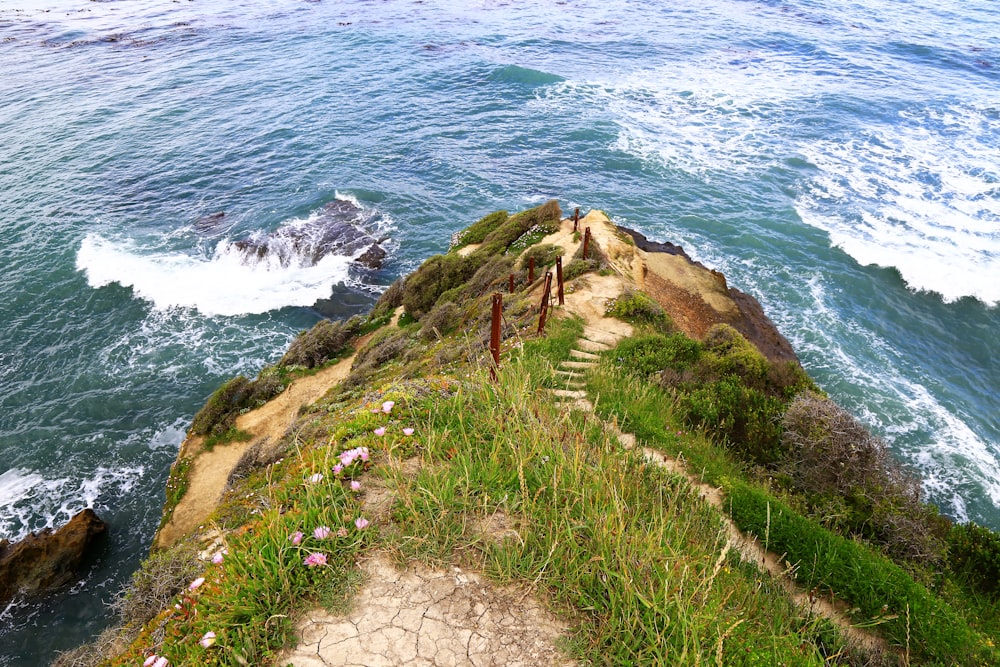 green grass on brown rock formation near body of water during daytime