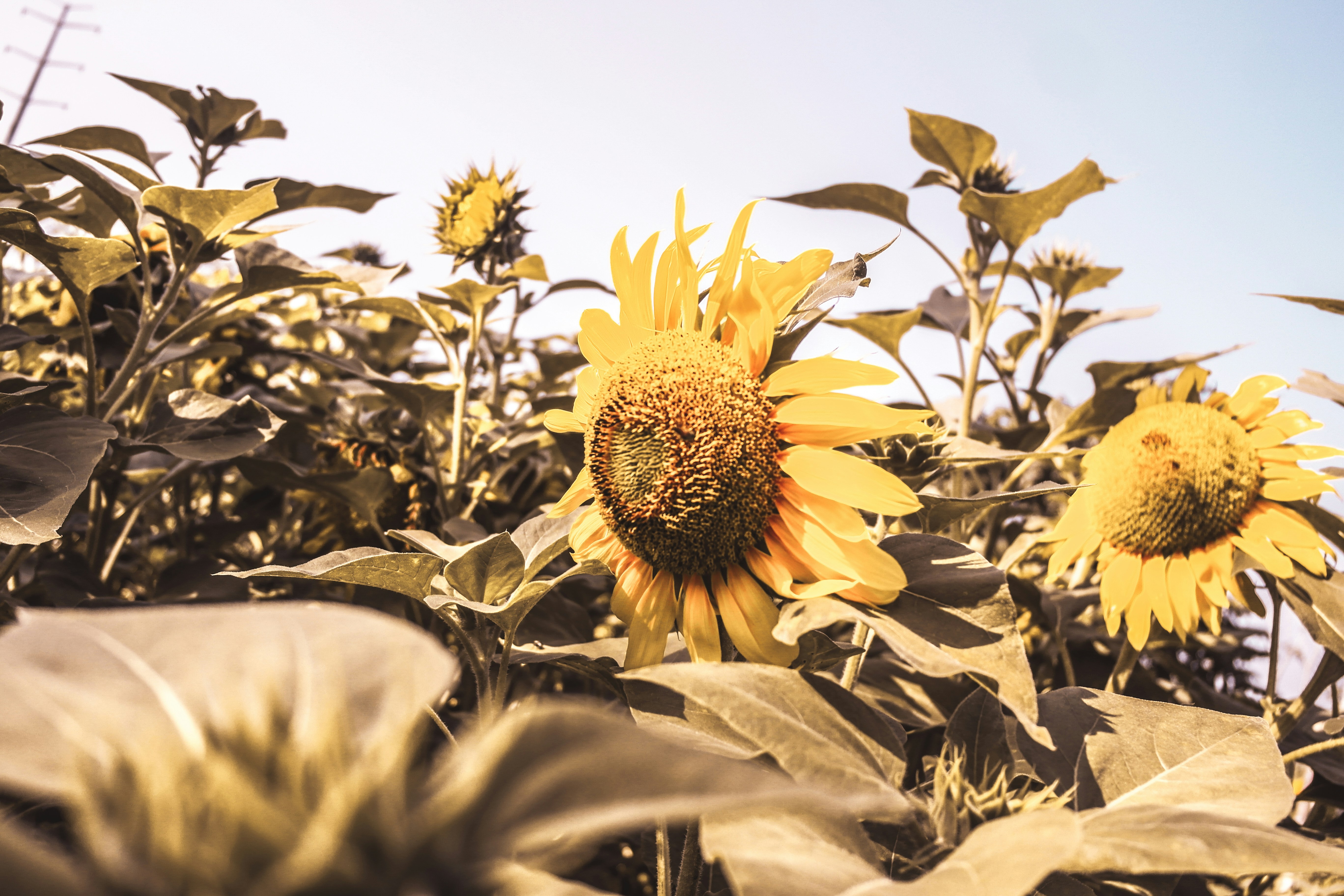 Photo by gallan_romansyah