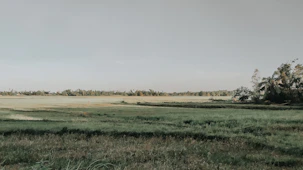 Open plot of land with clear boundaries and green grass.